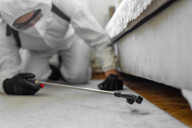 Professional Bed Bug Control technician working in El Portal, FL