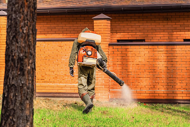 Trusted Rodent Control service in El Portal, FL - Nex Pest Control